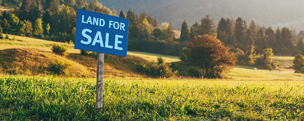image of land and trees with a sign that says "Land for Sale" for people looking to buying land in New Braunfels.
