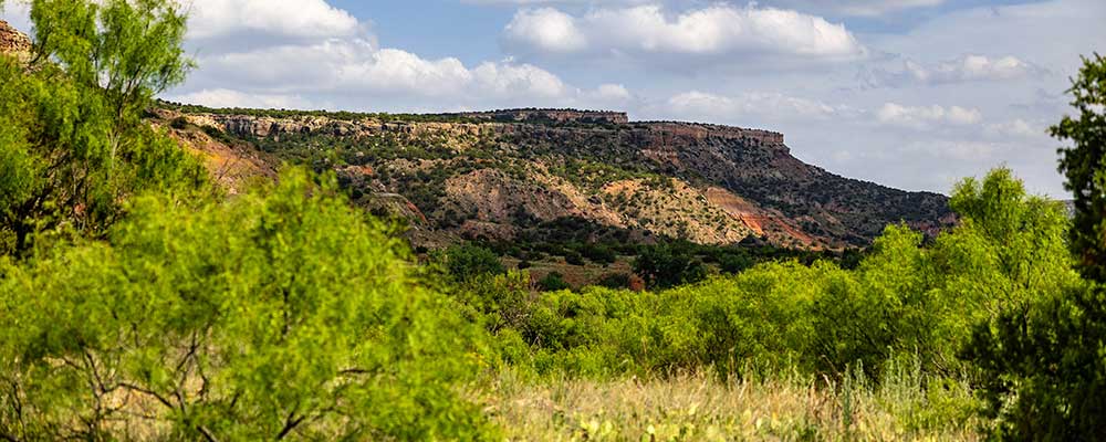 choosing where to buy land in New Braunfels, depends on several factors